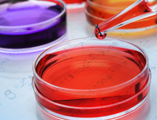 Focus On Sustainable Product Development