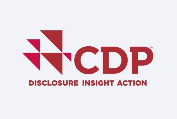 Sudarshan Secures ‘B’ Rating from CDP for Second Consecutive Year, Reinforcing Commitment to Sustainability and Innovation