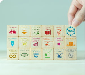 UNSDG: United Nations Sustainable Development Goals